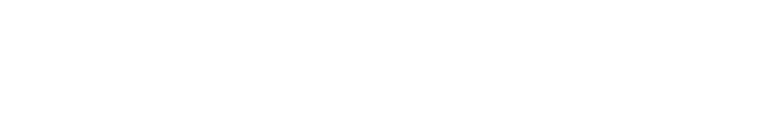 Logo LevierB2B BLANC